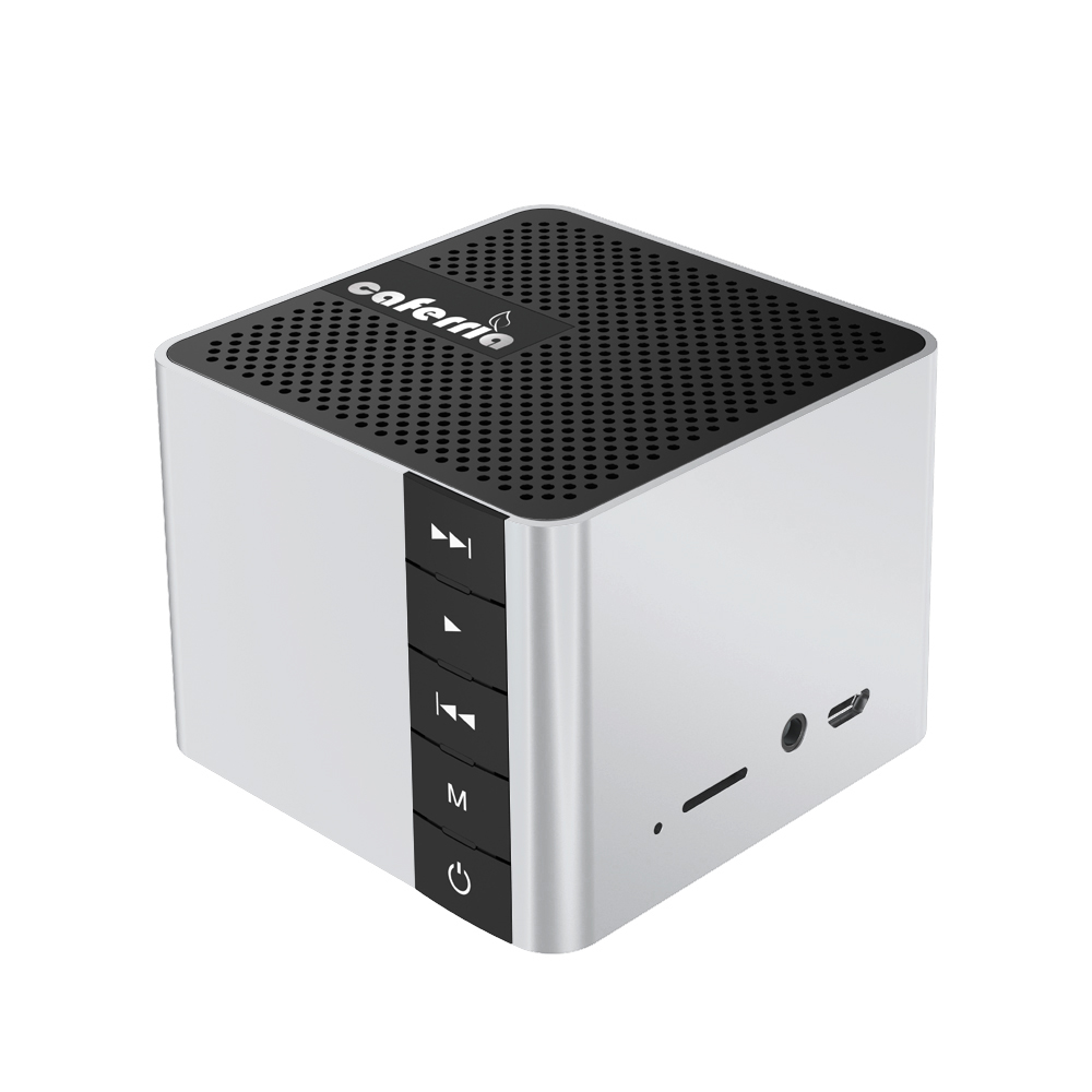 Popular Design Speaker Bluetooth Portable Outdoor Wireless Bluetooth Smart Speaker For Camping NE10