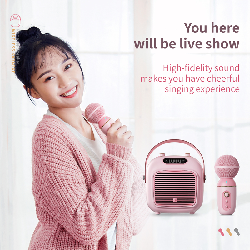 Fashion Portable Subwoofer Karaoke Speaker with Microphone Bluetooth Speaker Wireless C50