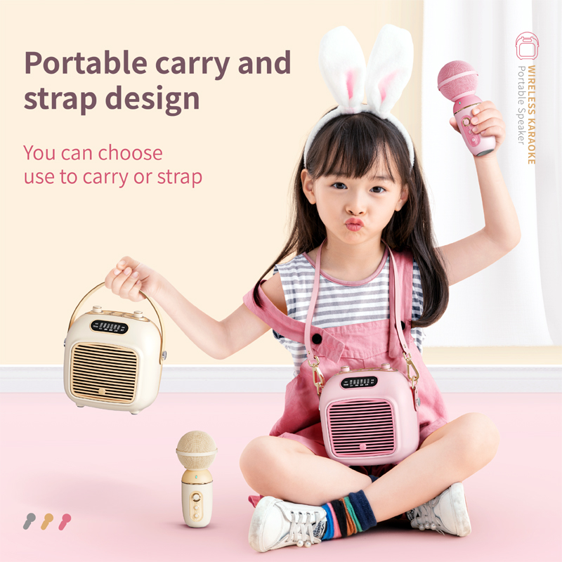 Fashion Portable Subwoofer Karaoke Speaker with Microphone Bluetooth Speaker Wireless C50