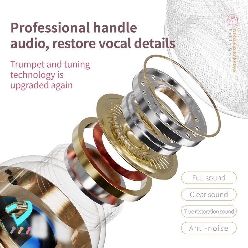 Fashion Portable Subwoofer Karaoke Speaker with Microphone Bluetooth Speaker Wireless C50