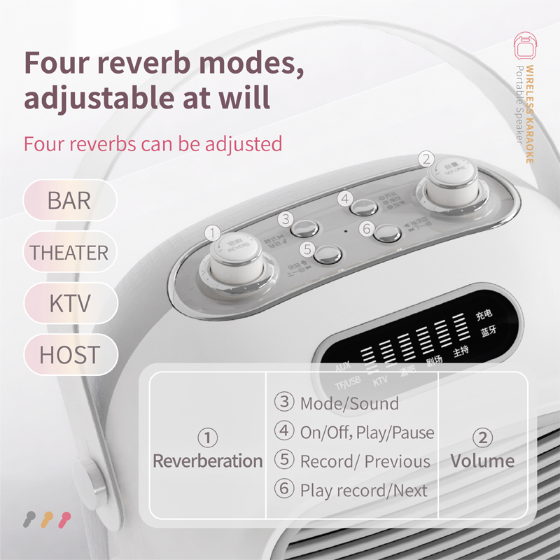 Fashion Portable Subwoofer Karaoke Speaker with Microphone Bluetooth Speaker Wireless C50