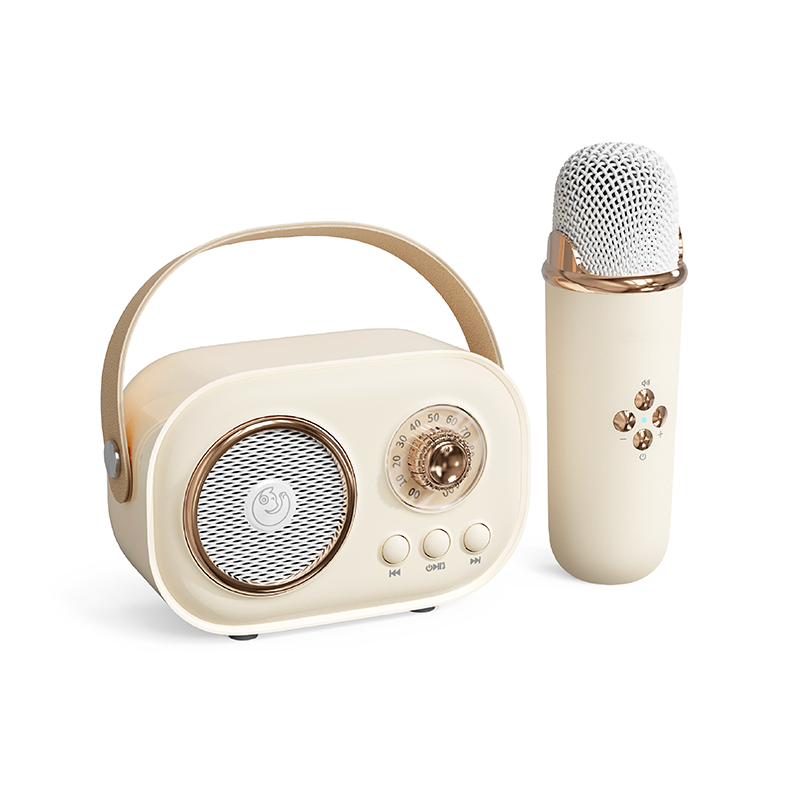 2023 Fashion mini radio fm retro vintage usb wireless bluetooth speaker karaoke speaker with mic and bluetooth C20