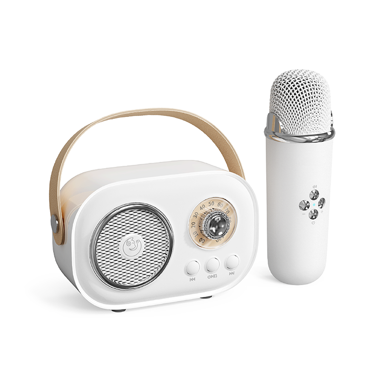 2023 Fashion mini radio fm retro vintage usb wireless bluetooth speaker karaoke speaker with mic and bluetooth C20