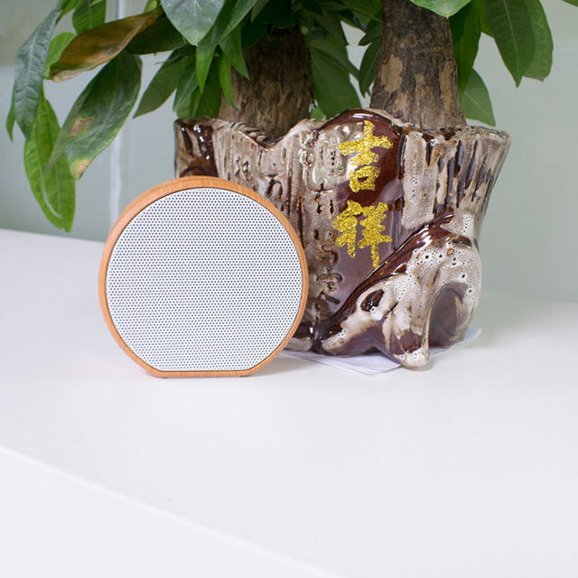 A Comprehensive Tutorial on Taking Apart a Compact Bluetooth Speaker