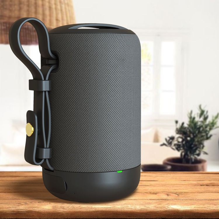 Transforming Bluetooth Speakers with Artificial Intelligence